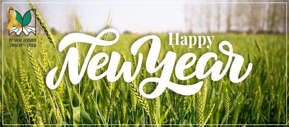 ברכת שנה טובה לשנה האזרחית