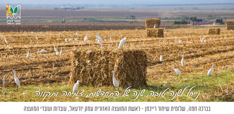 אגרת ברכה שנה טובה