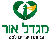 לוגו מגדל אור