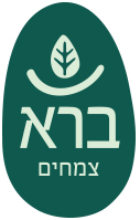 example
